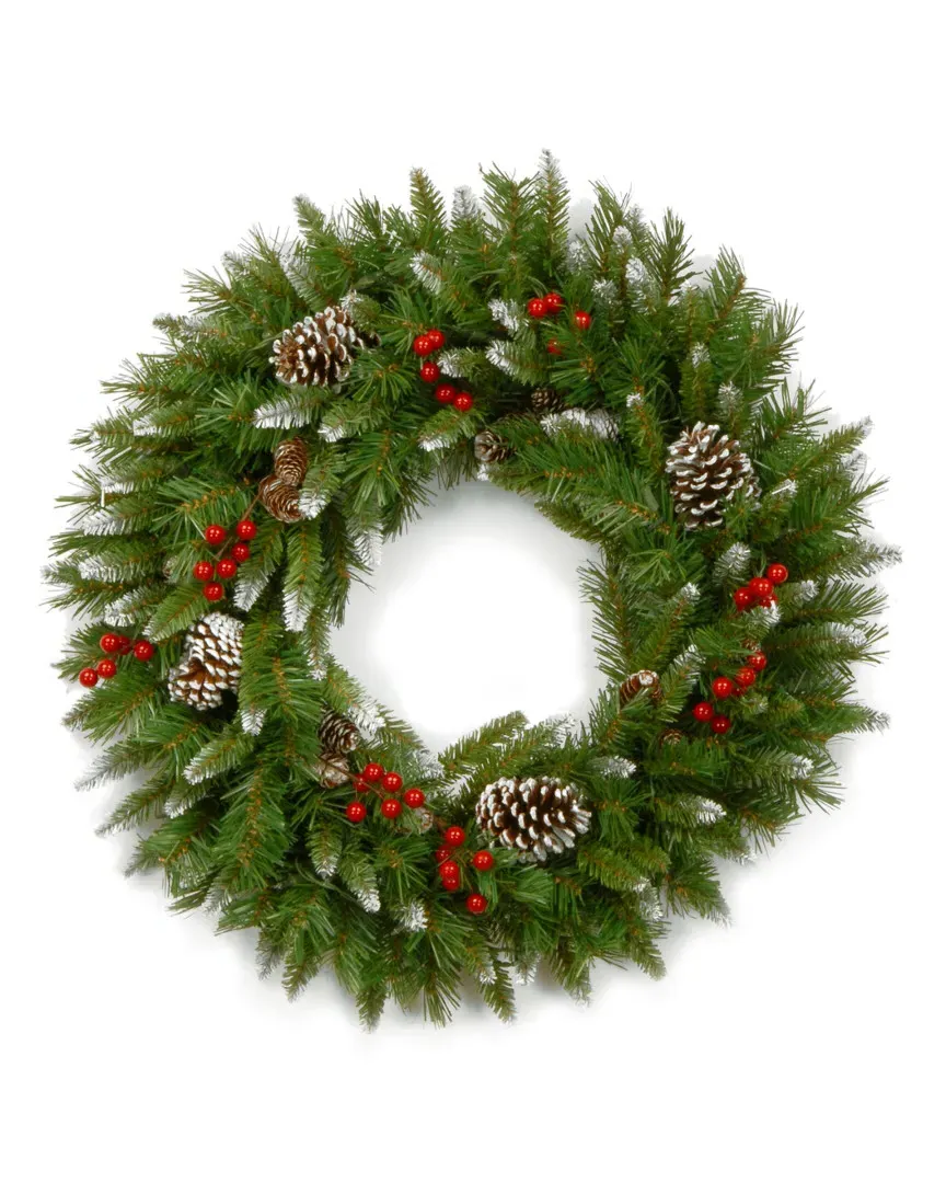 24in Frosted Berry Wreath - Green image