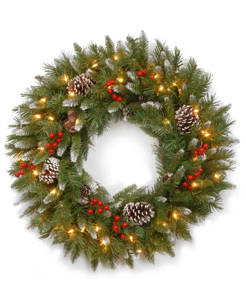 24in Frosted Berry Wreath with 50 Clear Lights - Green