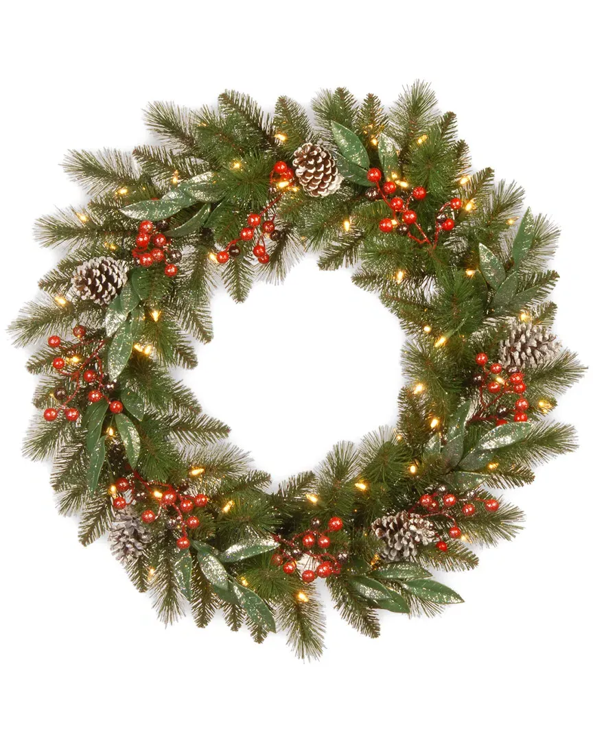 24in Frosted Pine Berry Wreath - Green