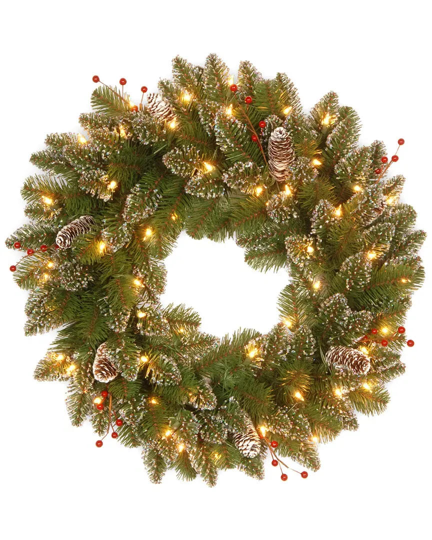 24in Glittery Mountain Spruce Wreath with White Edge image
