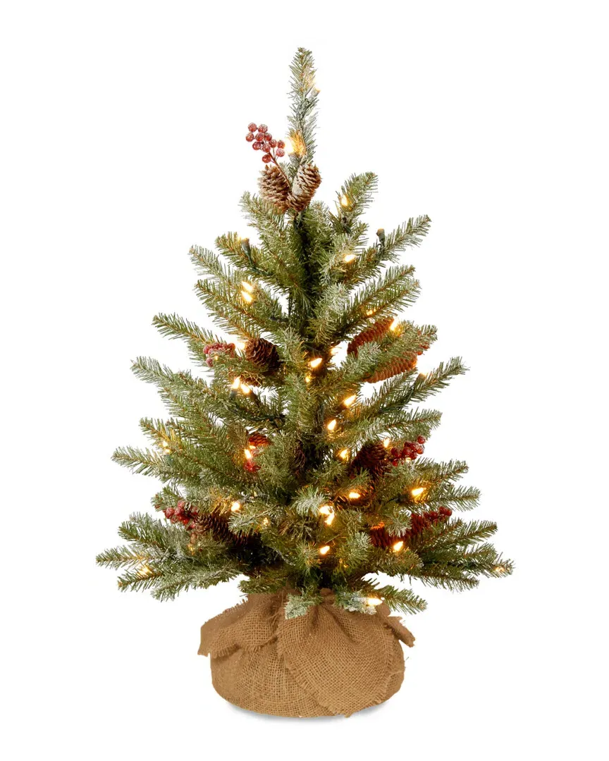 2ft Dunhill Fir Small Tree with LED Lights - Snowy Green image