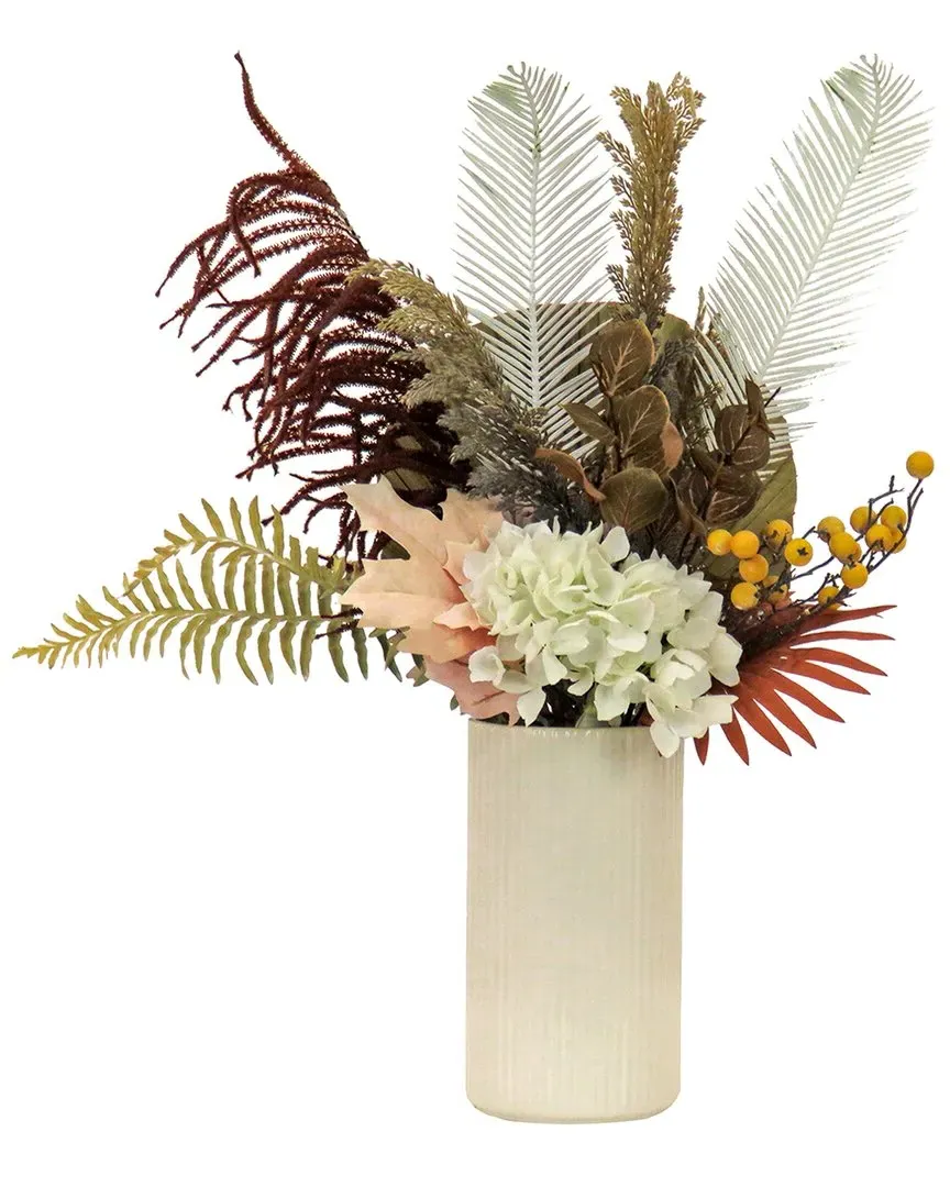 31In Potted Fern And Hydrangea Assortment - Black image