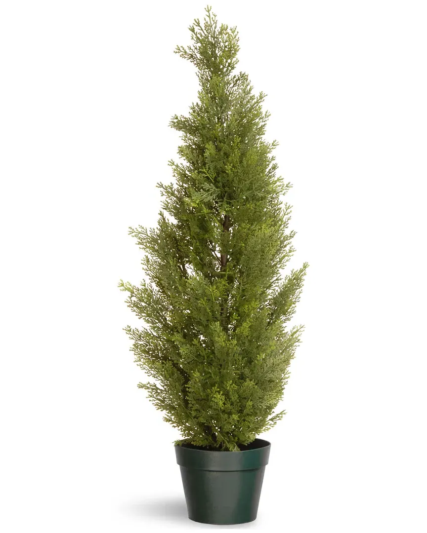 36in Arborvitae Tree - Green image