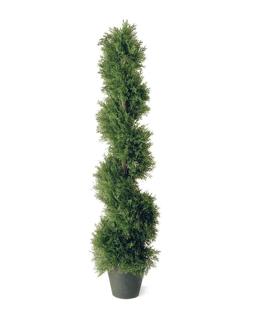 48in Juniper Slim Spiral Tree with Pot image