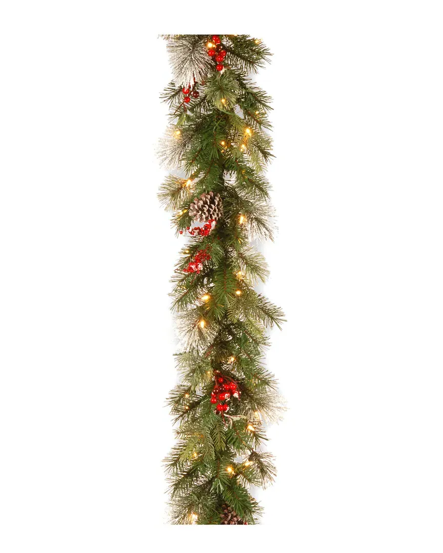 9ft Wintry Berry Collection Garland with 70 Clear Lights image