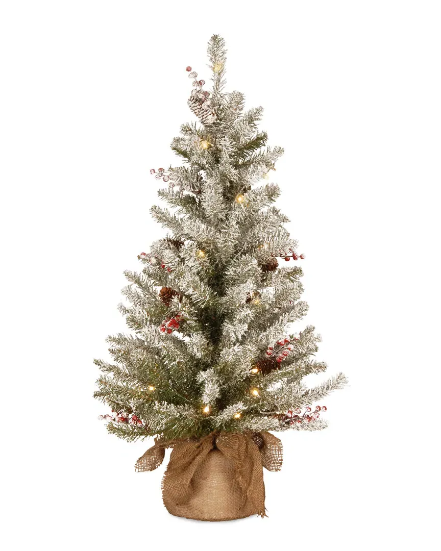 Dunhill Fir 3ft Small Tree with Berries and Pine Cones image