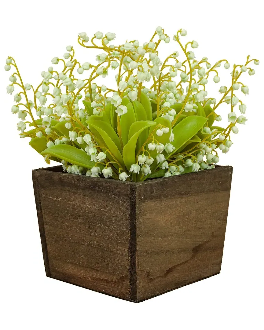 National Tree Company Lily-Of-The-Valley Flowers in Wood Box - Green image