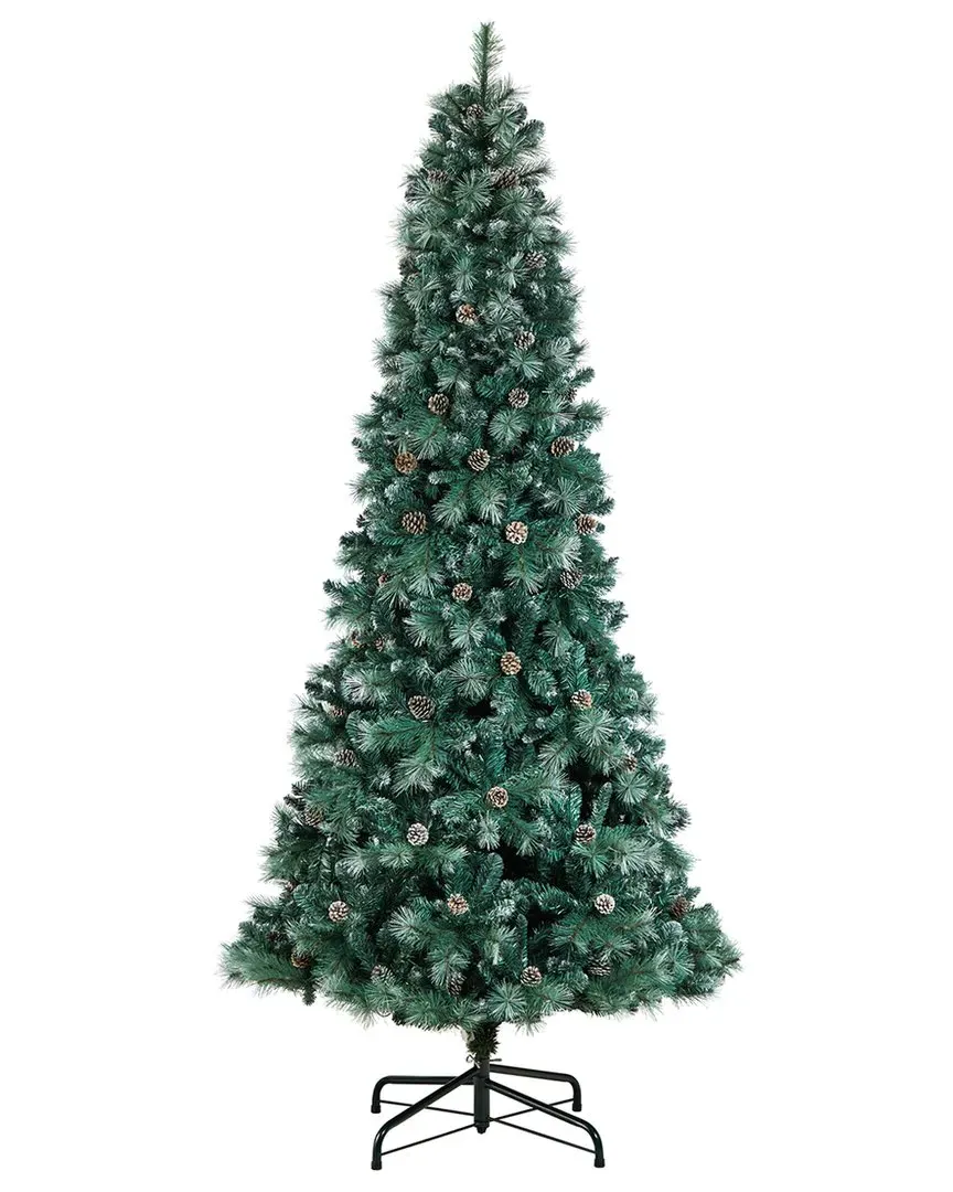 108in Frosted Tip British Columbia Mountain Pine Tree - Green