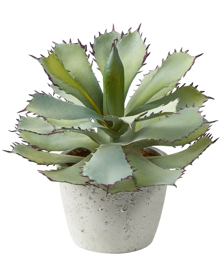 11in Succulent Artificial Plant - Green image