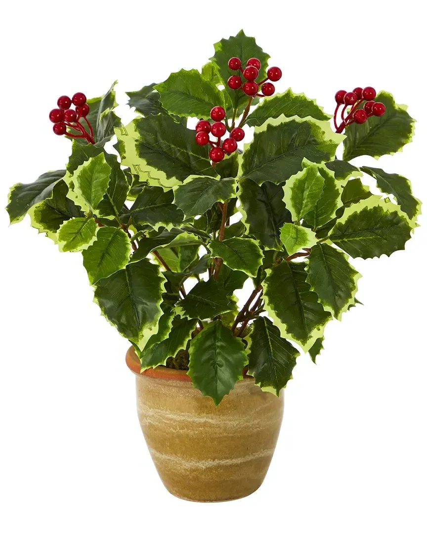14in Variegated Holly Leaf Artificial Plant - Green image