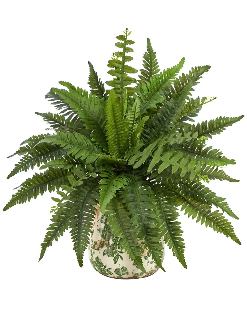 15in Boston Fern Plant with Tuscan Ceramic Scroll Planter - Green