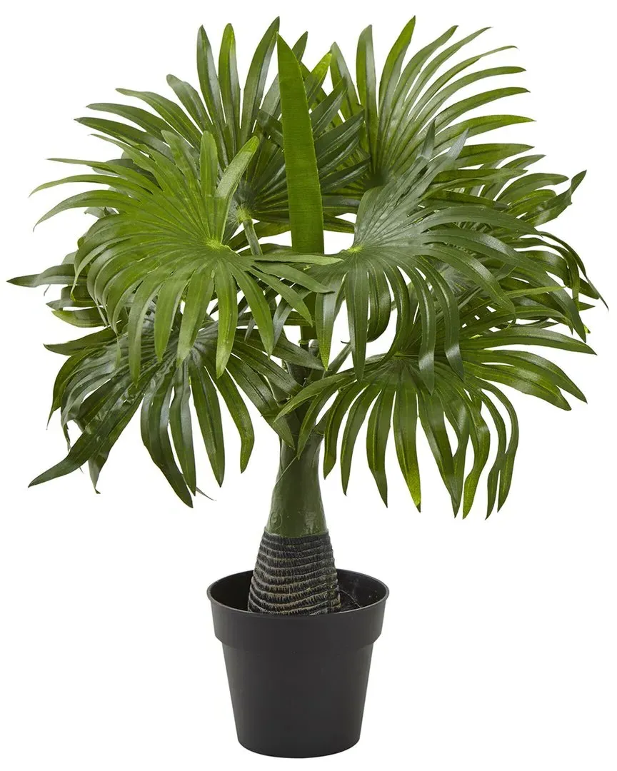 16in Mini Fountain Palm Artificial Plant - Green