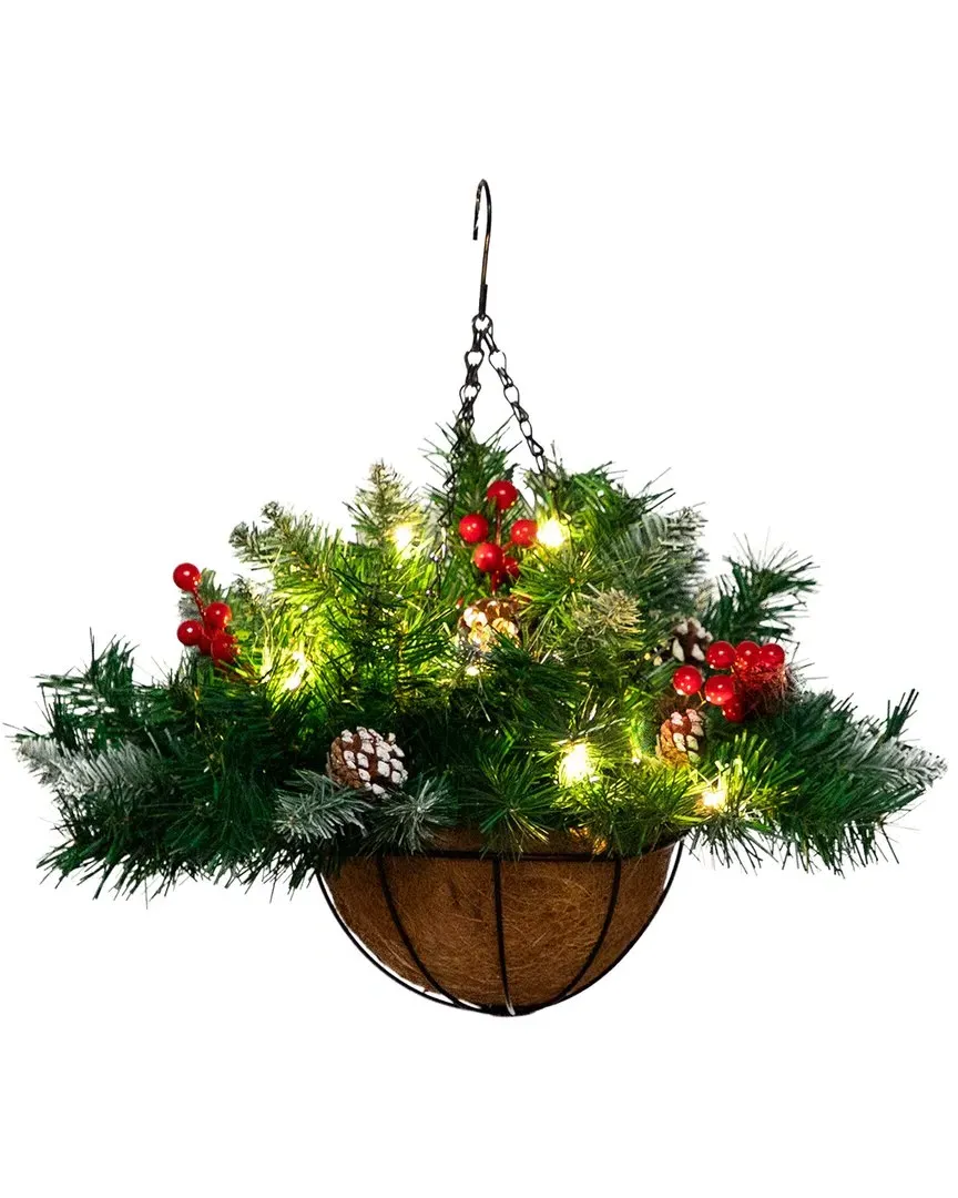 16in Pre-Lit Pine & Berry Hanging Basket - Green image