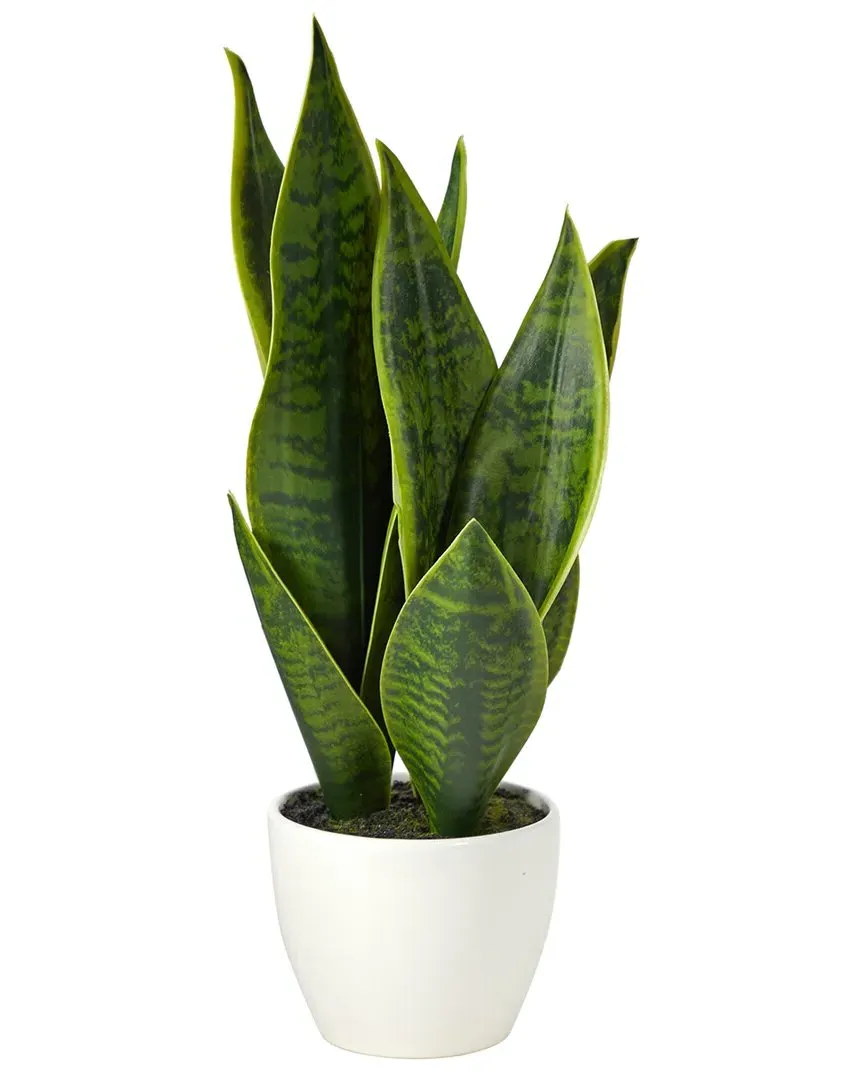 16in Sansevieria Artificial Plant - Green