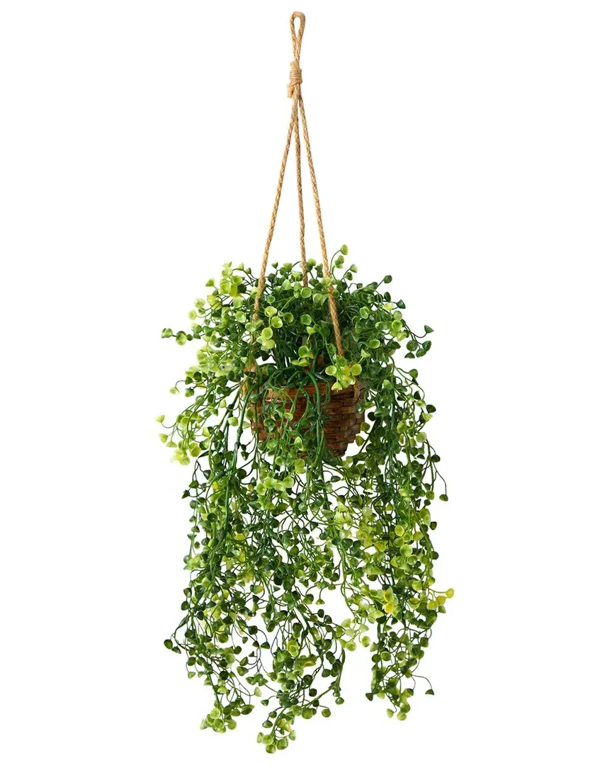 20in Baby Tear Artificial Plant in Hanging Basket - Green image
