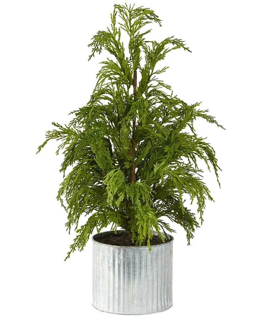 20in Cedar Pine Artificial Christmas Tree - Green image