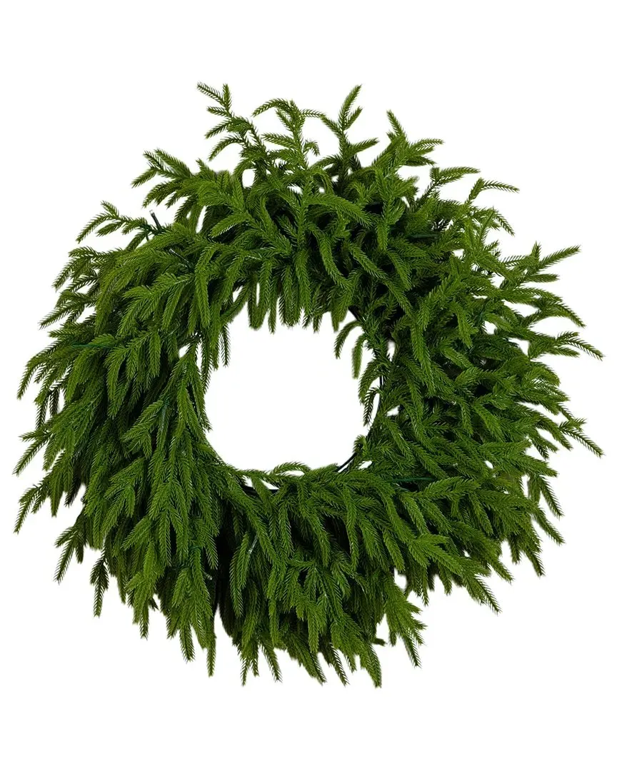 20In Pre-Lit Norfolk Island Pine Wreath - Green