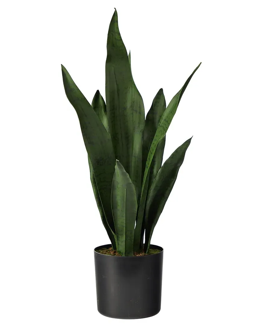 22in Sansevieria Artificial Plant - Green image