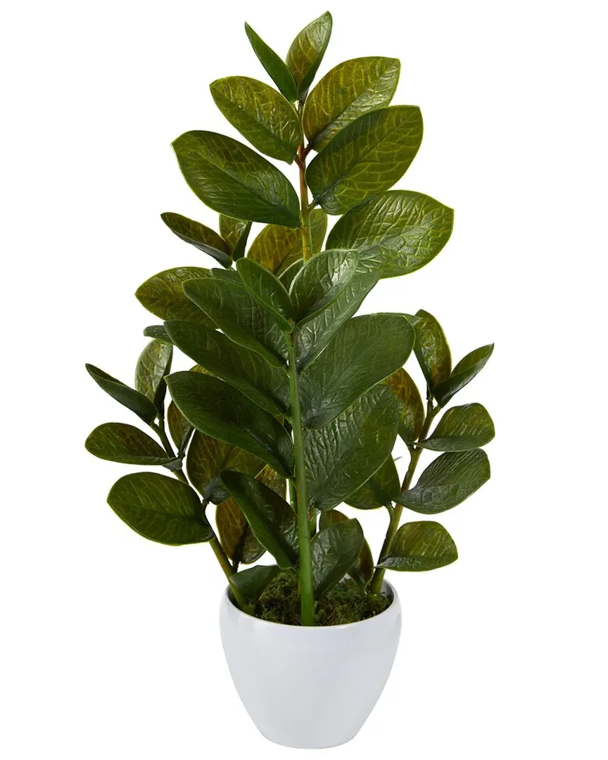 22in Zamioculcas Artificial Plant in White Planter - Green image