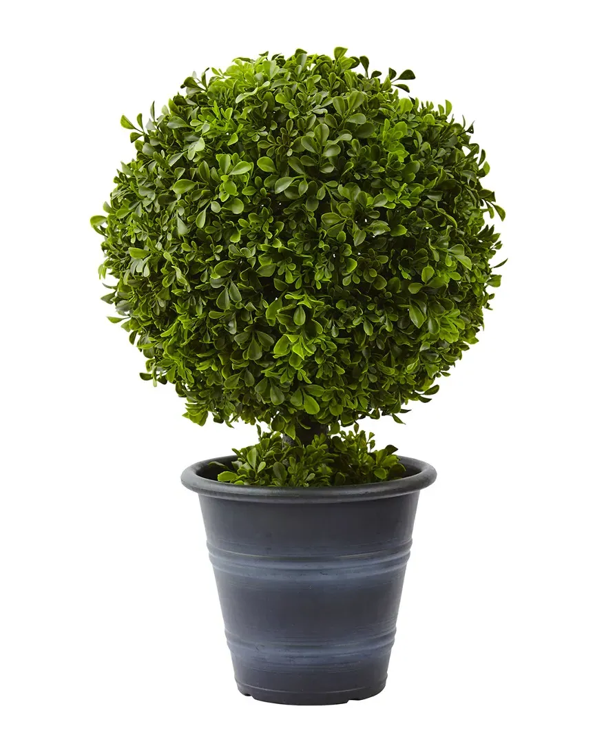 23in Boxwood Ball Topiary - Green image