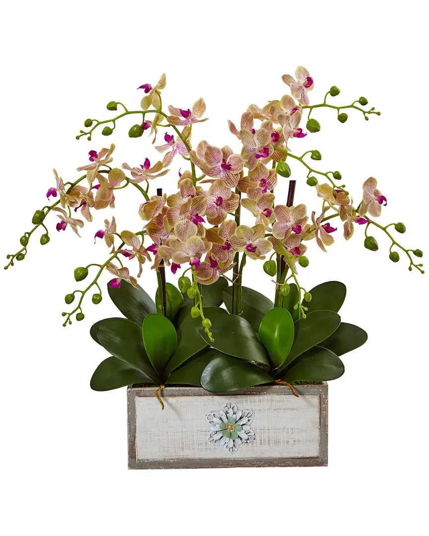 24in Phalaenopsis Orchid Artificial Arrangement with Wood Planter