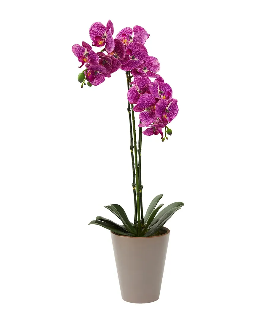 24in Speckled Phalaenopsis Orchid Artificial Arrangement