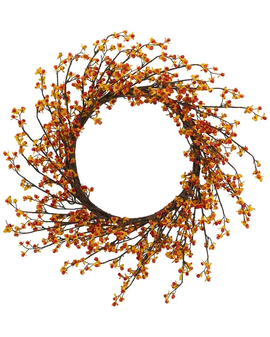24in Sweet Bitter Wreath - Orange