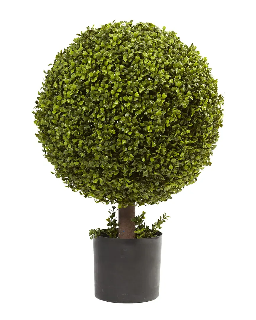 27in Boxwood Ball Topiary with Pot - Green