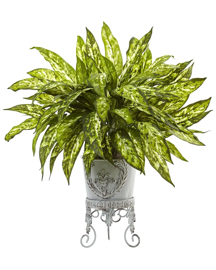 2ft Aglaonema with Metal Planter - Green image