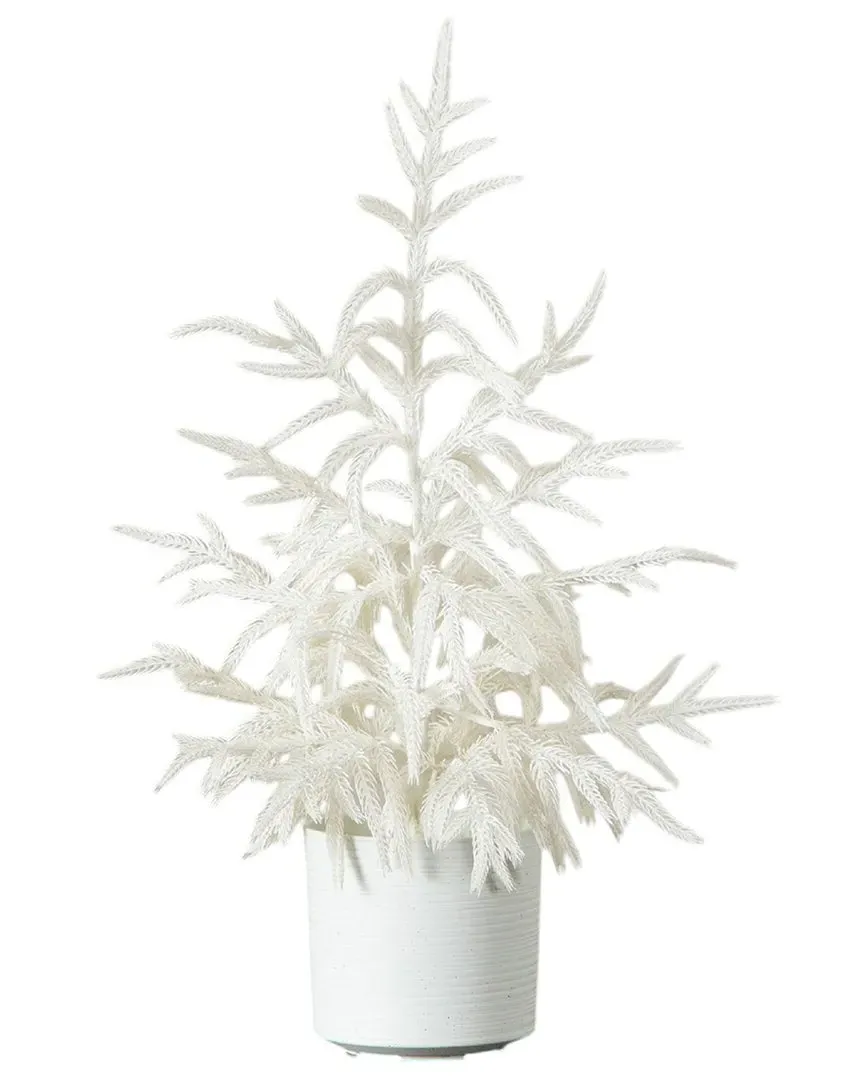 2Ft Artificial Norfolk Island Pine Christmas Tree - White