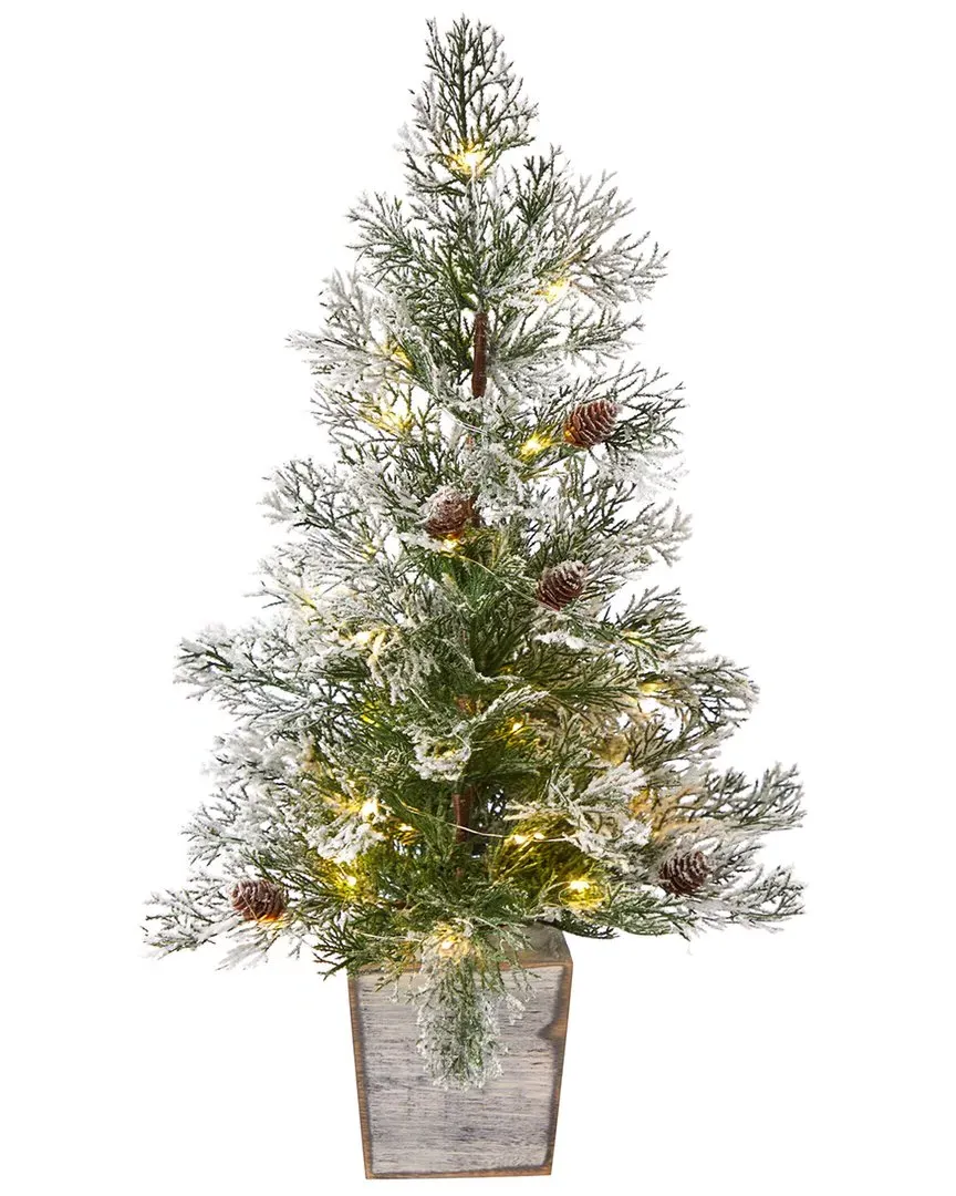 2ft Frosted Artificial Christmas Tree with Lights - Green