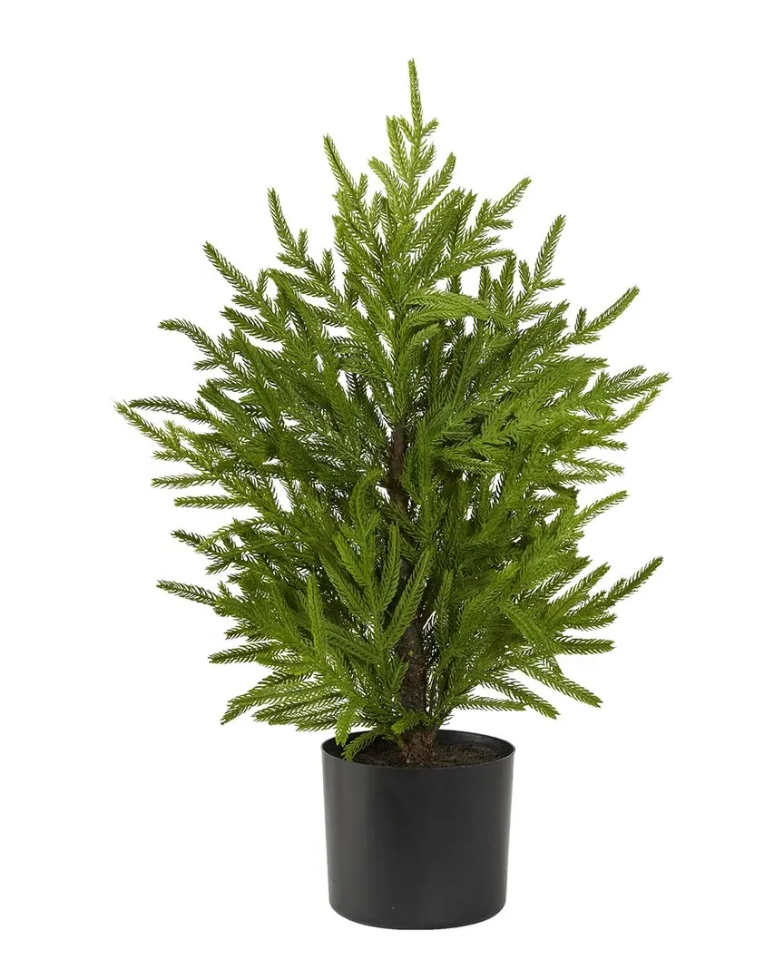 2ft Norfolk Island Pine Artificial Tree - Green image