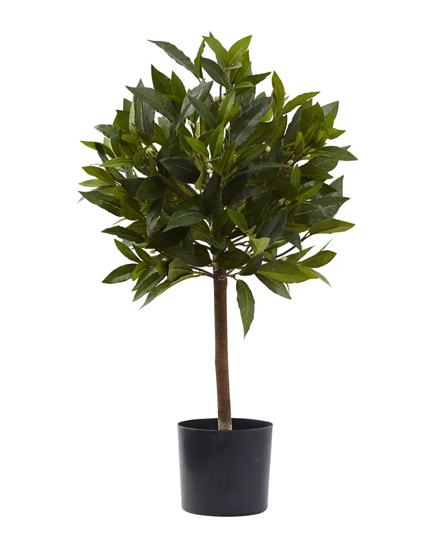 2ft Sweet Bay Mini Ball Topiary - Green image