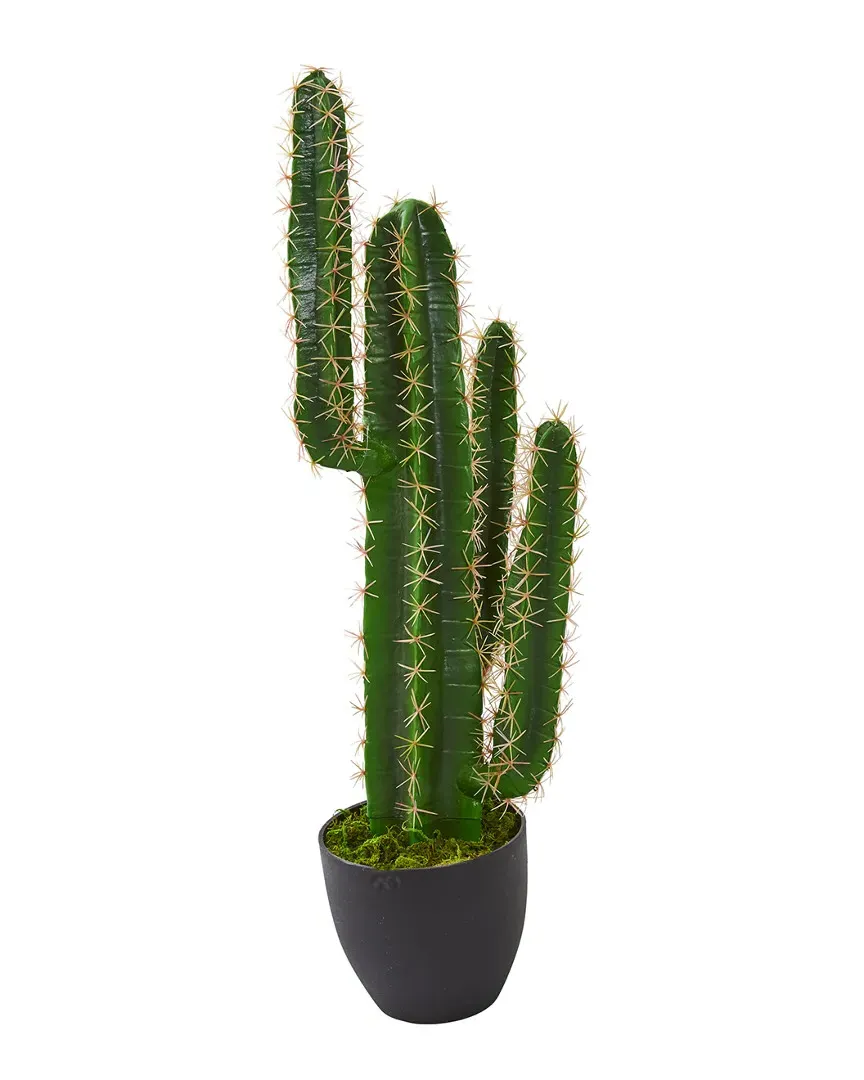 3 Cactus Artificial Plants - Green
