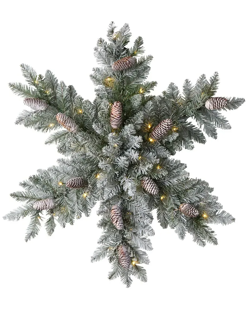 30in Pre-Lit Flocked Snowflake Dunhill Fir Wreath - Green