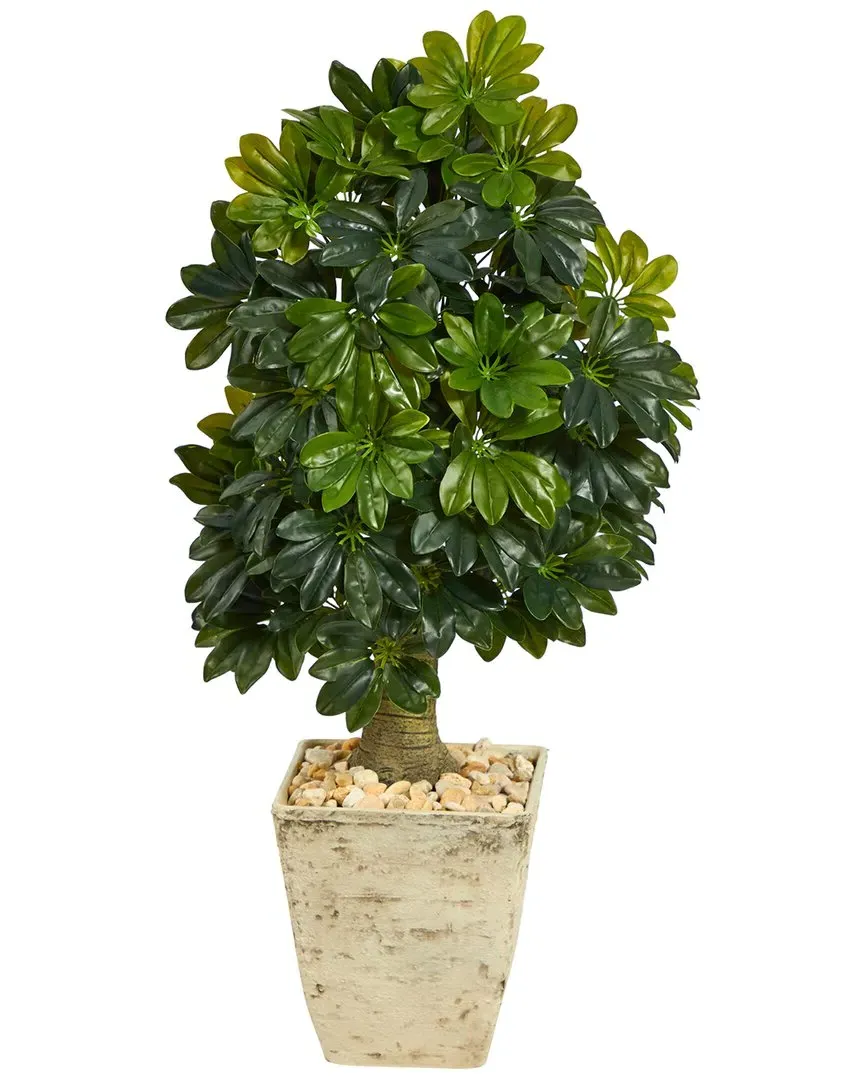 3.5ft Schefflera Artificial Tree in Country White Planter image