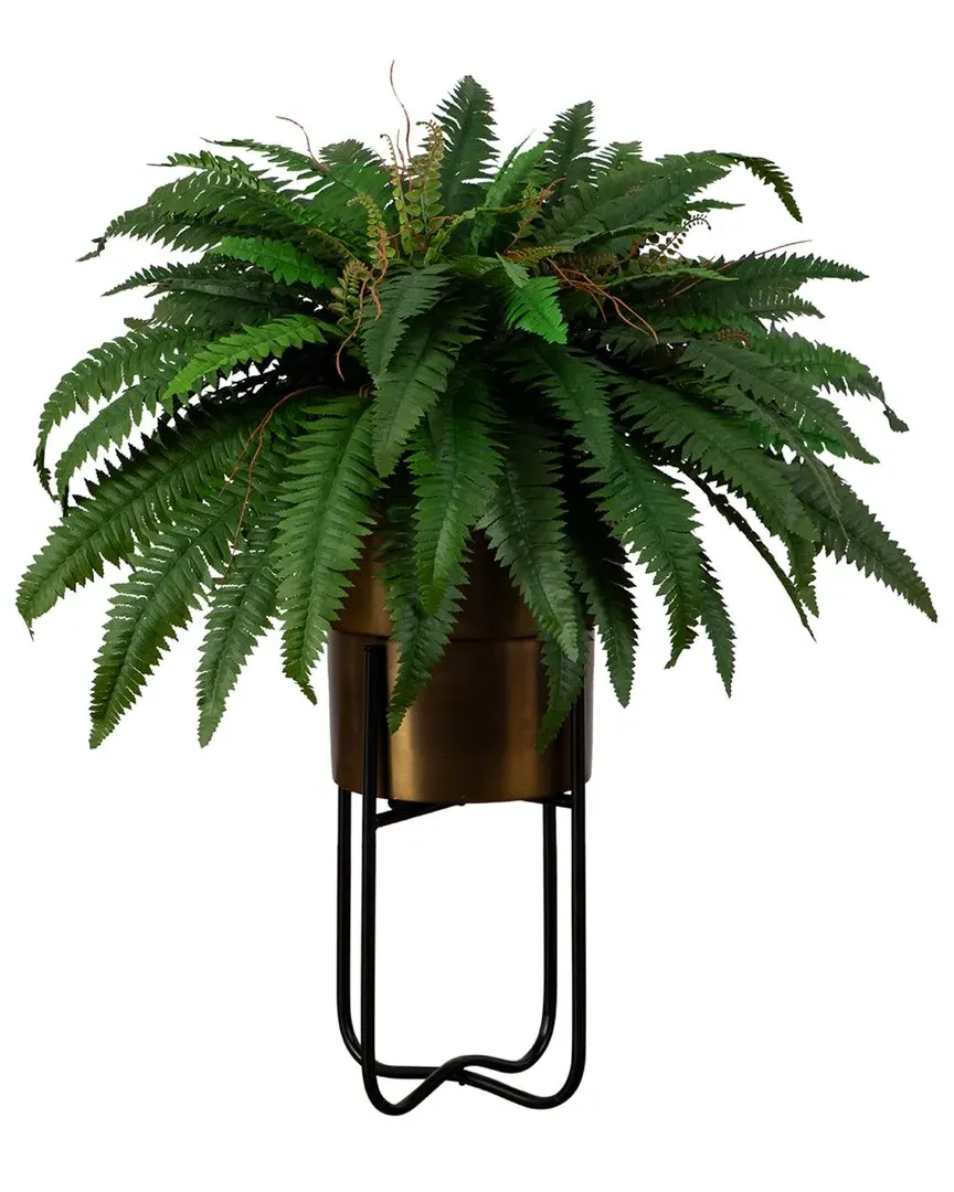 35in Boston Fern in Brass Metal Planter with Stand - Green