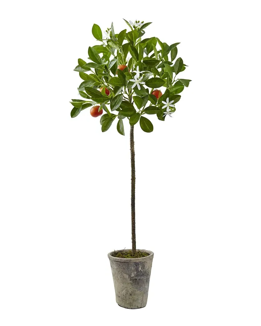 38in Potted Orange Tree - Orange image