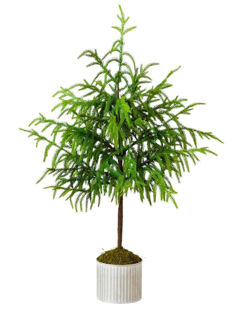 3Ft Artificial Norfolk Island Pine Christmas Tree - Green