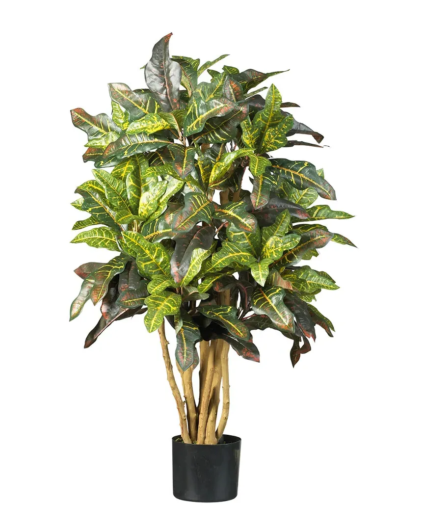 3ft Croton Silk Tree image