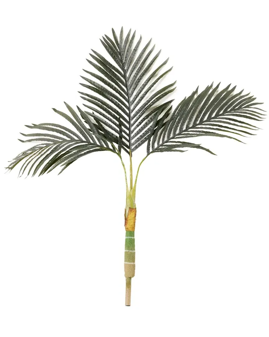 3ft Golden Cane Palm Tree - Green image