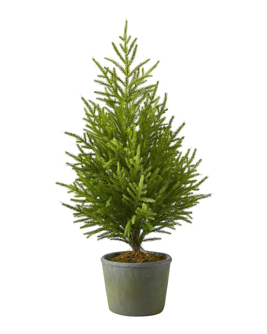 3ft Norfolk Island Pine Artificial Tree - Green