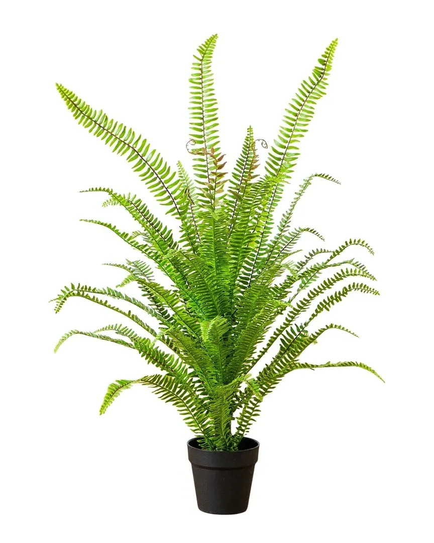 3ft UV-Resistant Boston Fern Potted Plant - Green