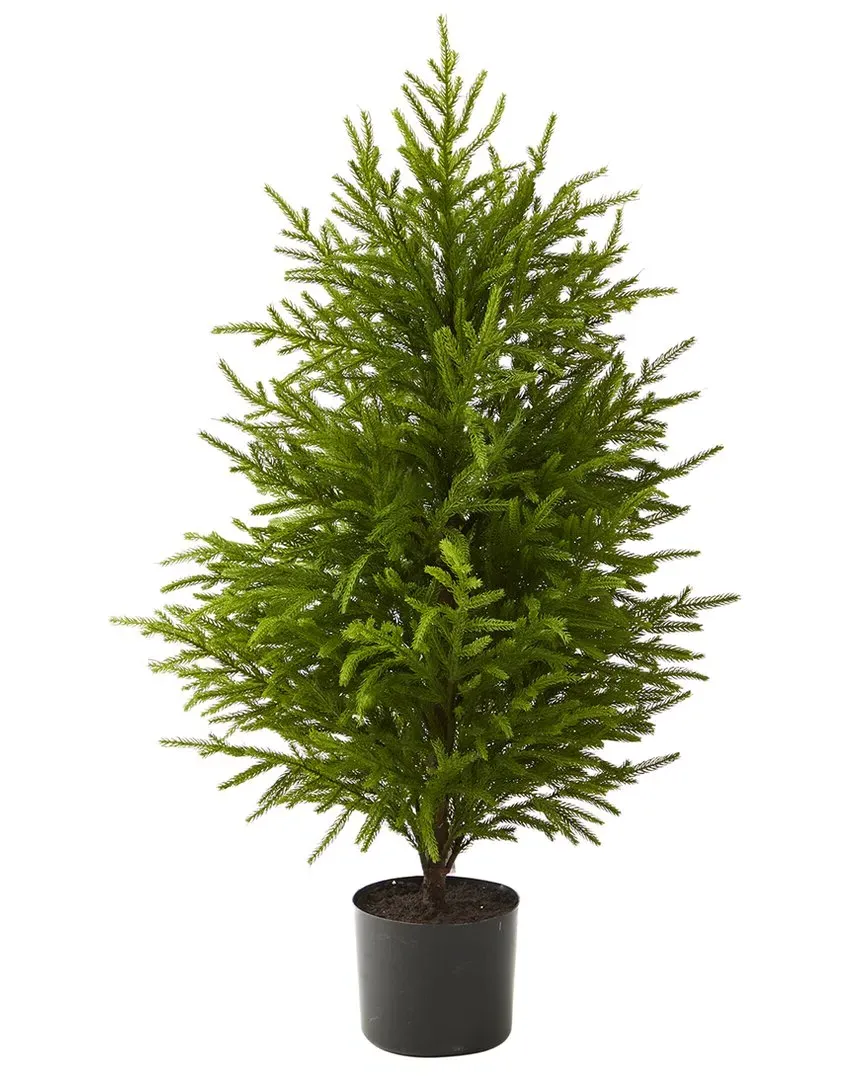 40in Norfolk Island Pine Artificial Tree - Green