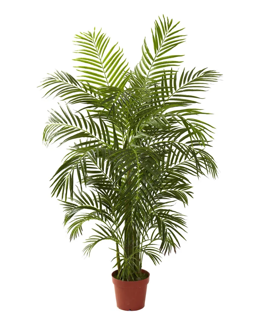 4.5ft Areca Palm UV Resistant with 8 Trunks
