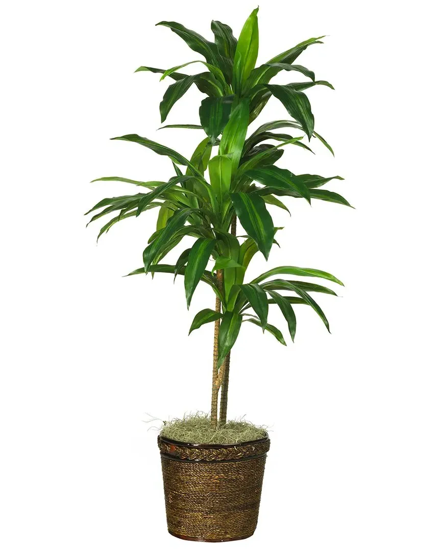48in Dracaena Artificial Plant with Basket - Green image