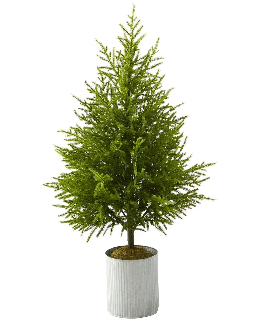 49in Norfolk Island Pine Artificial Tree - Green
