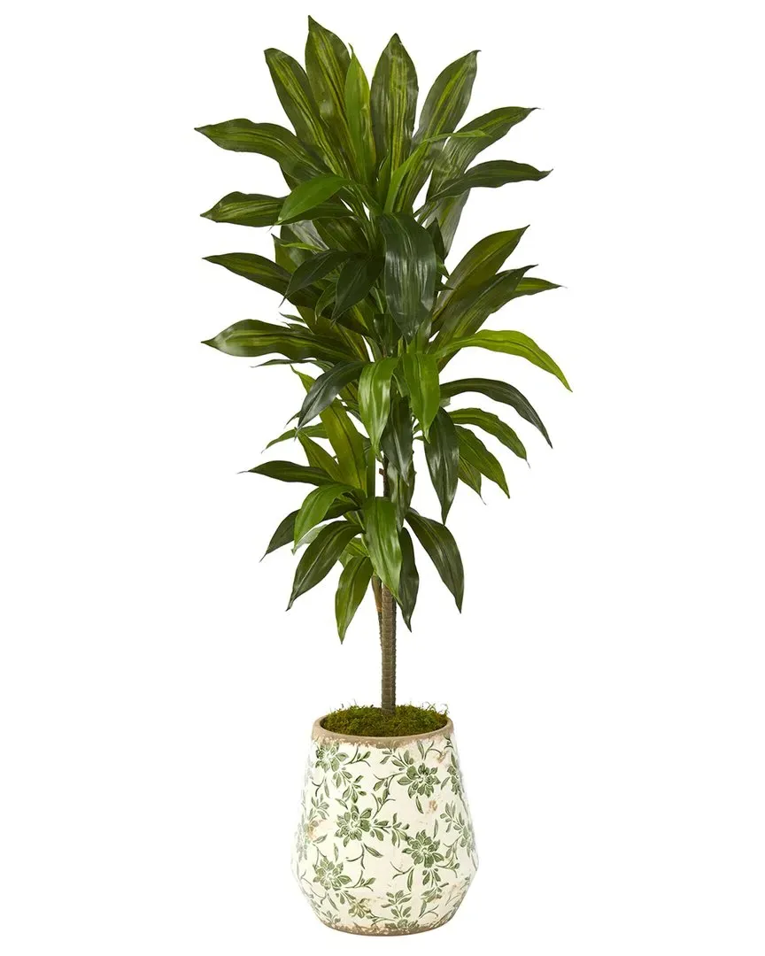 4ft Dracaena Artificial Plant in Flower Print Planter - Green