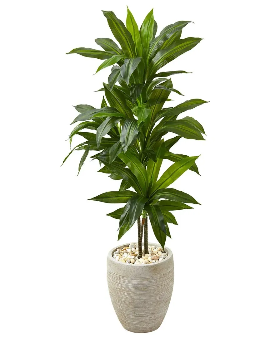 4ft Dracaena Artificial Plant in Planter - Green