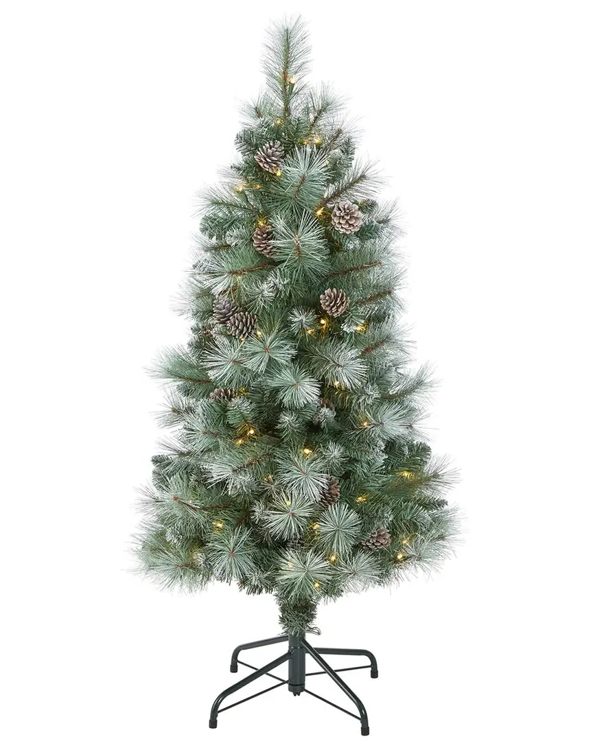 4ft Frosted Tip British Columbia Mountain Pine Tree - Green image